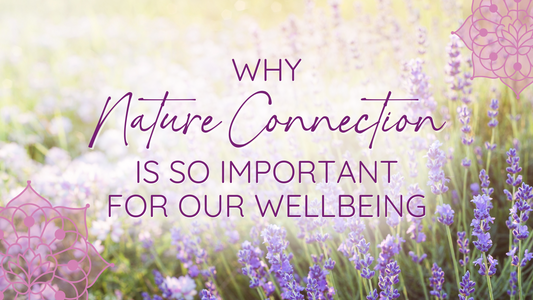 Why Nature Connection is so Important for our Wellbeing